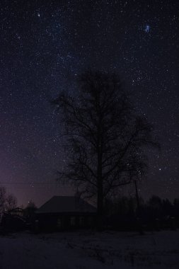 Rusya 'da soğuk ve yıldızlı bir gecede köyde uyuyan evler