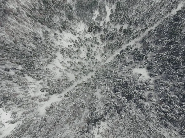 Δρόμος Προς Χειμώνα Χιονισμένο Πευκοδάσος Quadrocopter — Φωτογραφία Αρχείου
