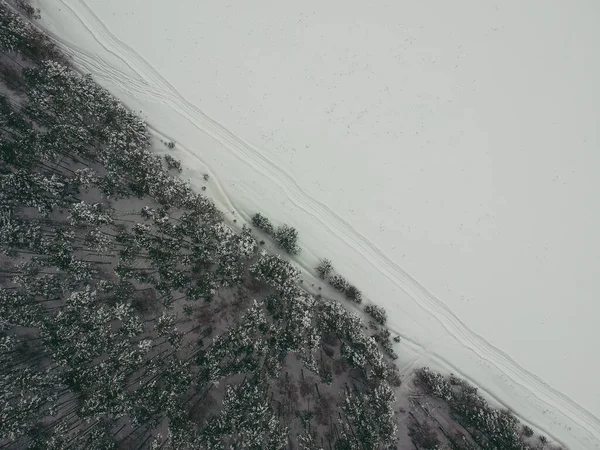Winter Kiefernwald Schnee Mit Dem Quadcopter — Stockfoto