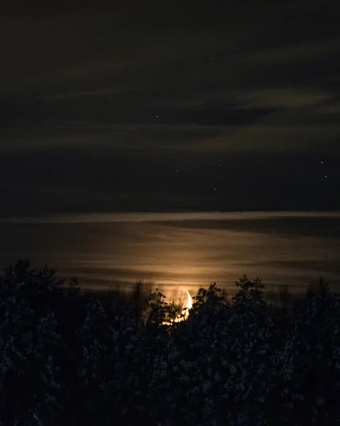 Moonset Snowy Pines Night — Stock Photo, Image