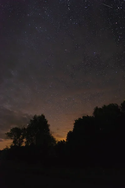 Cielo Estrellado Sobre Bosque Meteorito Volador Noche Verano — Foto de Stock