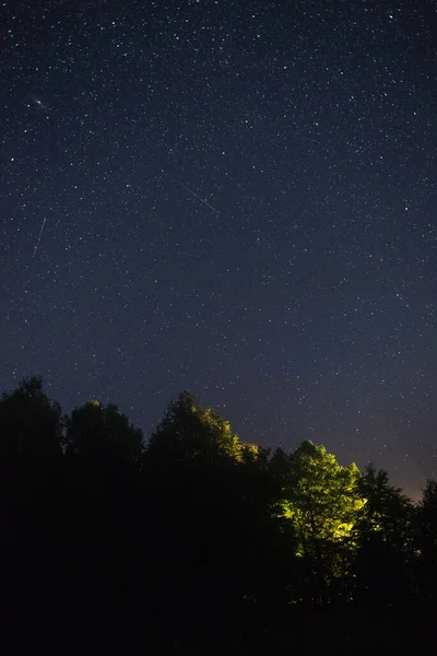 Cielo Estrellado Sobre Bosque Meteorito Volador Noche Verano — Foto de Stock