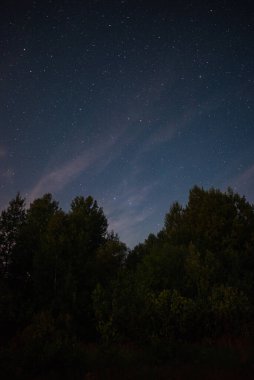 Yaz gecesinin üzerinde yıldızlı gökyüzü