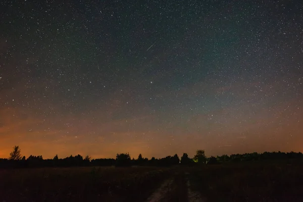 Starry sky over the road in the field