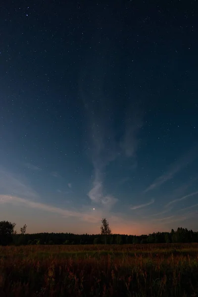 Hvězdná Obloha Nad Letním Polem — Stock fotografie