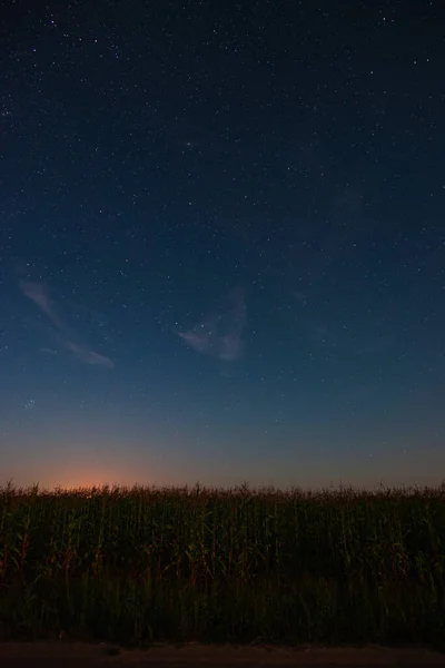 Hvězdné Nebe Nad Kukuřičným Polem Letní Noci — Stock fotografie