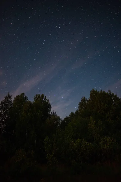 Cielo Estrellado Sobre Bosque Noche Verano — Foto de Stock