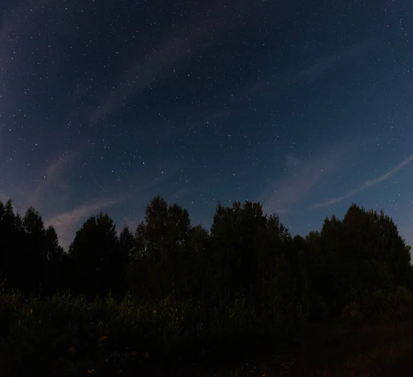 Cielo Estrellado Sobre Bosque Noche Verano —  Fotos de Stock