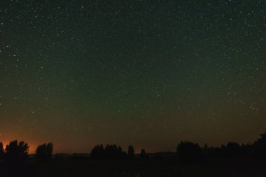 Ormanın üzerindeki yıldızlı gökyüzü yaz gecesi ve şehirden uzakta tarlaların ve ormanların üzerinde.