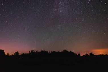 Ormanın üzerinde yıldızlı gökyüzü ve yaz gecesinde uçan meteor.
