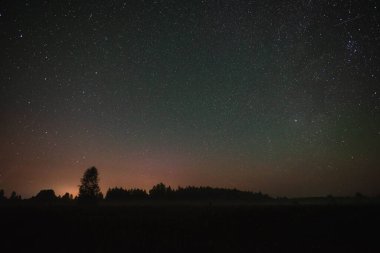 Ormanın üzerinde yıldızlı gökyüzü ve yaz gecesinde uçan meteor.