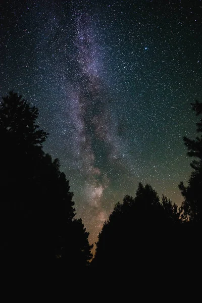 Cielo Nocturno Con Vía Láctea Sobre Bosque Noche Verano — Foto de Stock