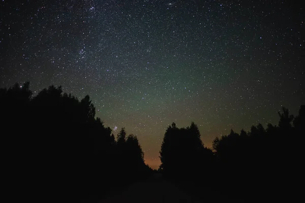 Céu Noturno Com Forma Leitosa Sobre Noite Verão Floresta — Fotografia de Stock