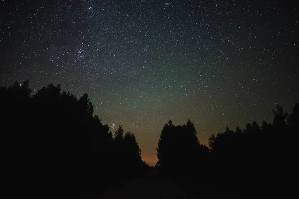 Natthimmel Med Mjölkaktig Väg Över Skogen Sommarnatt — Stockfoto