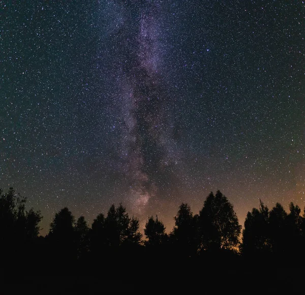 Nachtelijke Hemel Met Melkweg Het Bos Zomernacht — Stockfoto