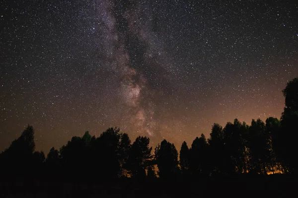 Natthimmel Med Mjölkaktig Väg Över Skogen Sommarnatt — Stockfoto