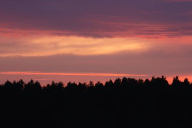 Gün batımında kızıl gökyüzü Ormanın üzerinde güzel bulutlarla