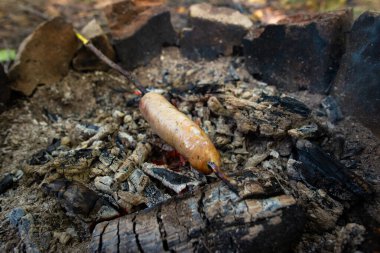 Ateşteki kömürde kızartılmış sosis, kazığa geçirilmiş. Atıştırmalık yiyecek.