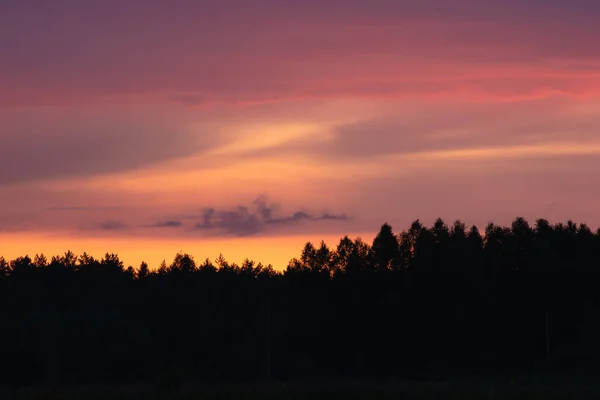 Cielo Escarlata Atardecer Sobre Bosque Con Hermosas Nubes —  Fotos de Stock