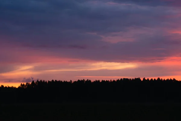 Cielo Escarlata Atardecer Sobre Bosque Con Hermosas Nubes —  Fotos de Stock