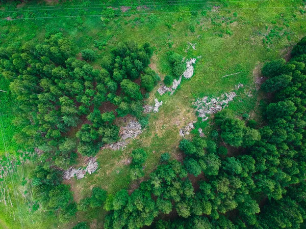 Deponier Nära Skogen Från Höjd — Stockfoto