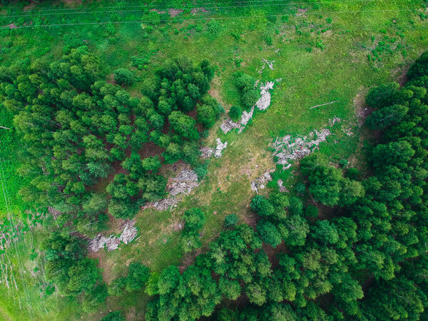Landfills near the forest from a height