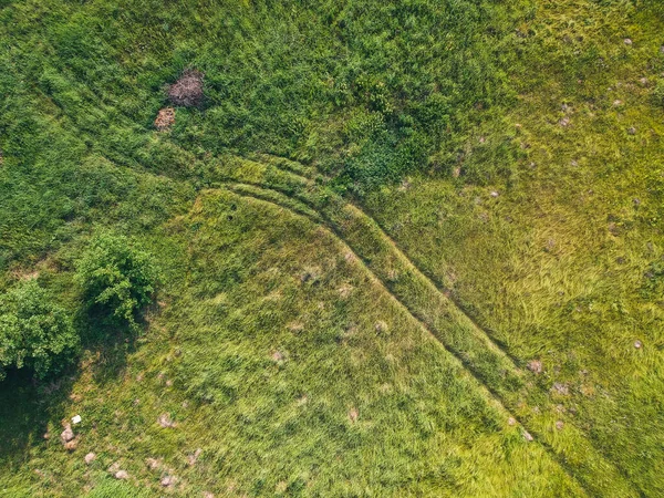 Намотка Дороги Поле Высоты Квадрокоптера Летом — стоковое фото