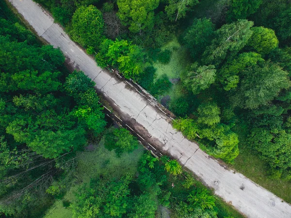 Stary Most Środku Małej Zarośniętej Rzeki Lesie Wysokości — Zdjęcie stockowe