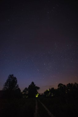 Kırsalda yol, yaz, ağaçların arasında yıldızlı gece..