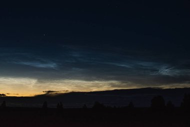 Geceyarısı bulutlar ormanın üzerinde bir yaz gecesini kapatıyorlar. Gece gökyüzünde parlayan bulutlar.