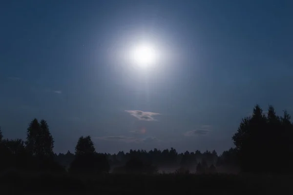 Ночной Туман Поле Леса Освещенная Луной Летняя Ночь — стоковое фото