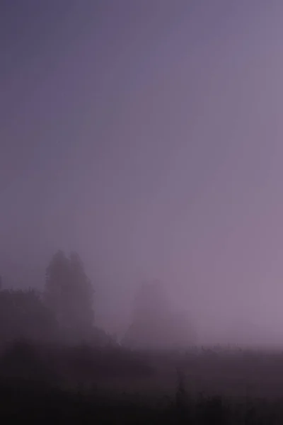 Brouillard Nocturne Dans Champ Près Forêt Nuit Été Clair Lune — Photo