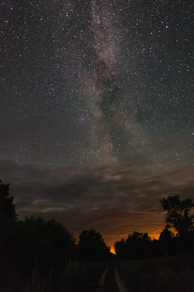 Camino Campo Verano Noche Estrellada Entre Los Árboles — Foto de Stock