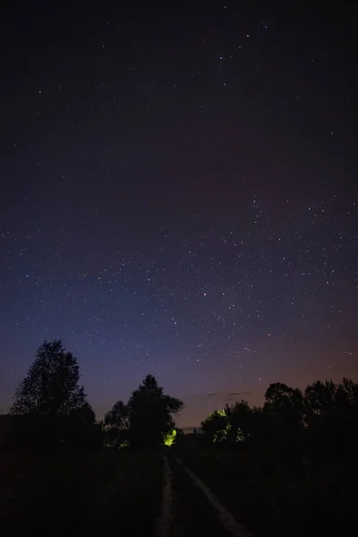 Camino Campo Verano Noche Estrellada Entre Los Árboles — Foto de Stock