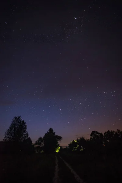 Camino Campo Verano Noche Estrellada Entre Los Árboles — Foto de Stock