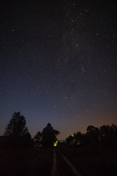 Camino Campo Verano Noche Estrellada Entre Los Árboles — Foto de Stock