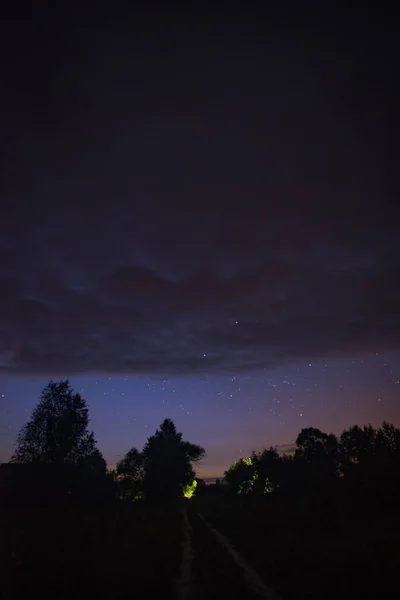 Straße Auf Dem Land Sommersternennacht Zwischen Den Bäumen — Stockfoto