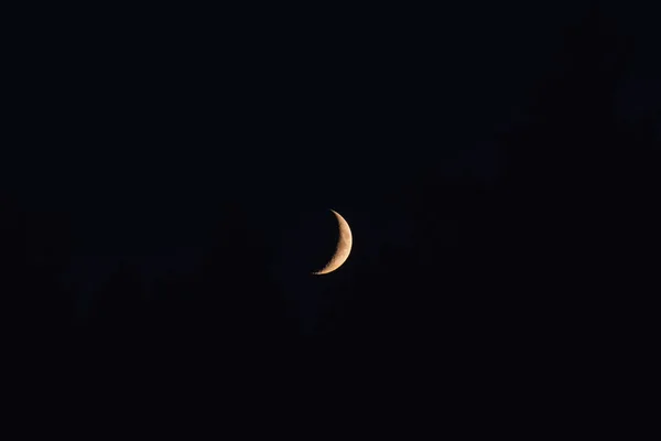 夏天的傍晚 月亮在森林上空升起 — 图库照片
