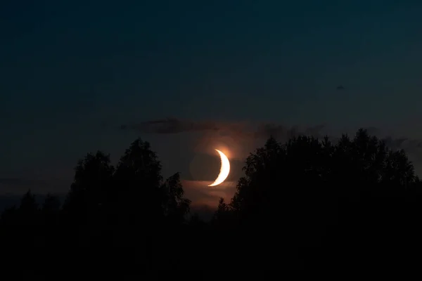 Luna Nueva Luna Viene Sobre Bosque Una Tarde Verano Luna — Foto de Stock