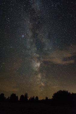 Samanyolu ormanın üzerinde