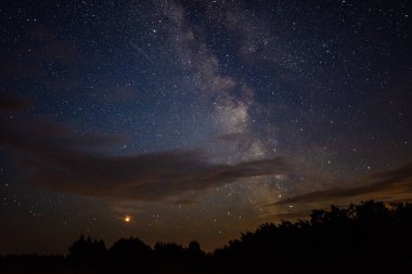 Samanyolu ormanın üzerinde