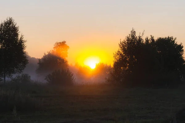 Raios Sol Brilham Através Nevoeiro Manhã Verão Amanhecer Campo Com — Fotografia de Stock