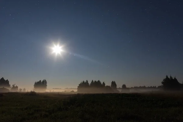 Fog illuminated by moonlight in a field with trees