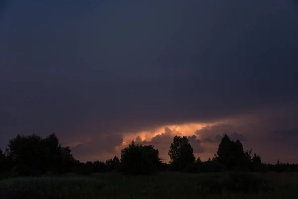 Blixt Sommarnatt Över Skogen — Stockfoto