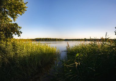 Yazın gün batımında ormandan göle.