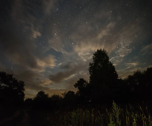 Cesta Mezi Stromy Letní Noci Mraky Jsou Osvětleny Měsíčním Svitem — Stock fotografie