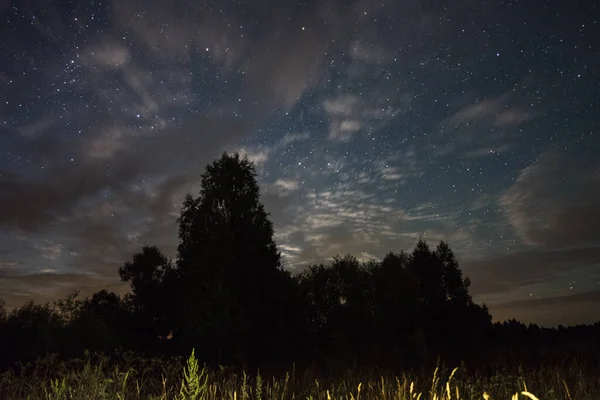 Cesta Mezi Stromy Letní Noci Mraky Jsou Osvětleny Měsíčním Svitem — Stock fotografie