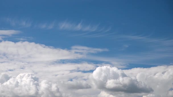 Timelapse Cumulus Cloud Formation Clear Summer Day Close — Stock Video