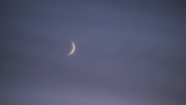 Moto Della Luna Tra Nuvole Nella Notte Primo Piano — Video Stock