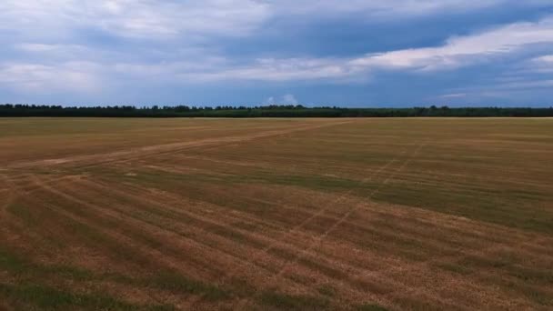 Vliegen Een Uitgestrekt Gemaaid Veld Wolken Ons Gemaaid Veld Verte — Stockvideo